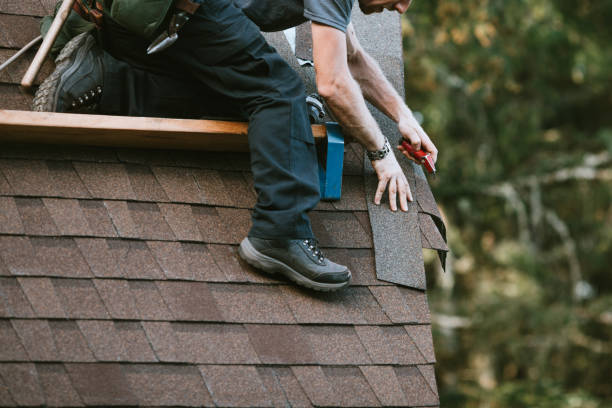 Best Roof Gutter Cleaning  in Lake Meade, PA